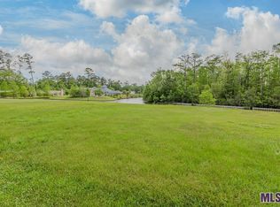 21554 Dolphin Ct, Springfield, LA 70462