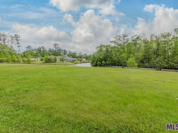 21554 Dolphin Ct, Springfield, LA 70462