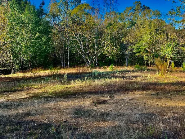 10045 McPherson Ridge Rd, Mabelvale, AR 72103