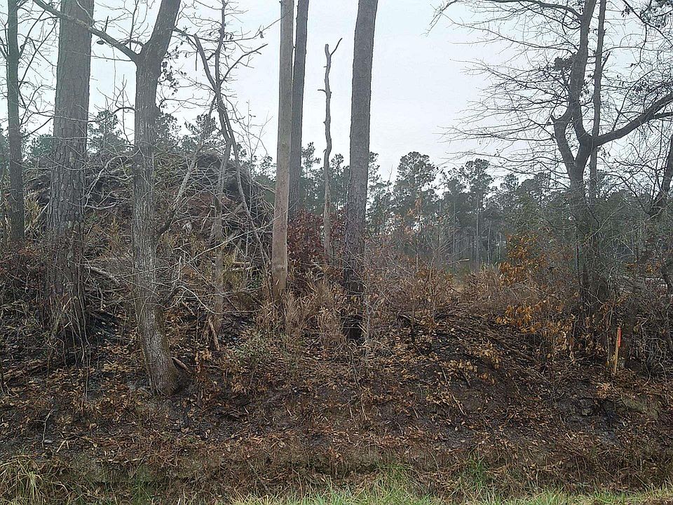 2nd image of TBD Old Forest Dr. Lot 3