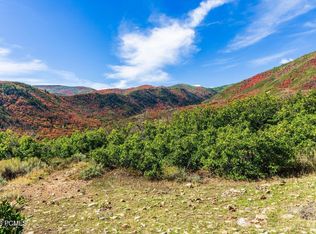 1232 N Hillside Dr, Midway, UT 84049