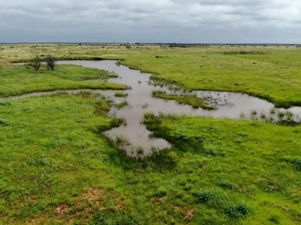 State Highway 79 S, Olney, TX 76374