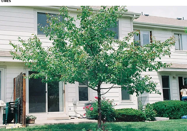 1621 Underhill Dr #3 — Photo 12