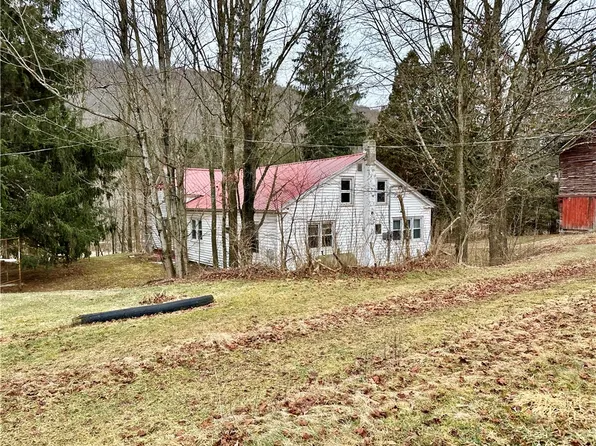 50-110 Barrett Rd, Delhi, NY 13753