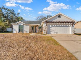 12130 Wildbrook Dr, Riverview, FL 33569