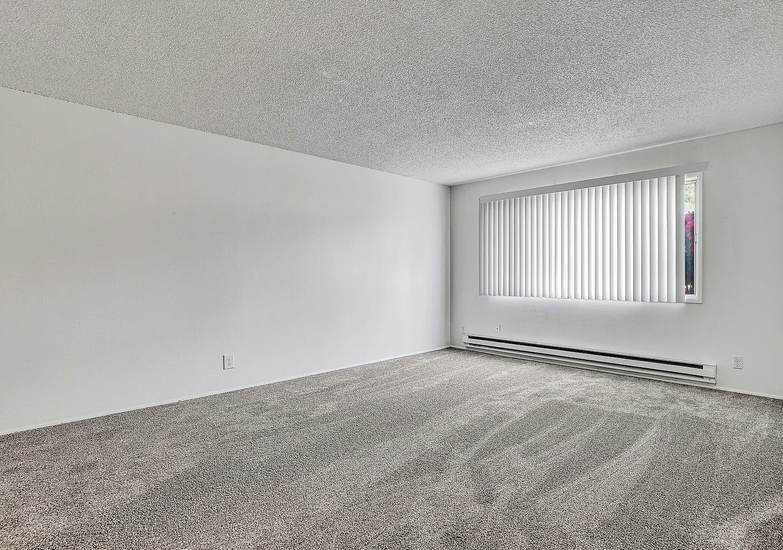 Windsor Court Apartments — Photo 3
