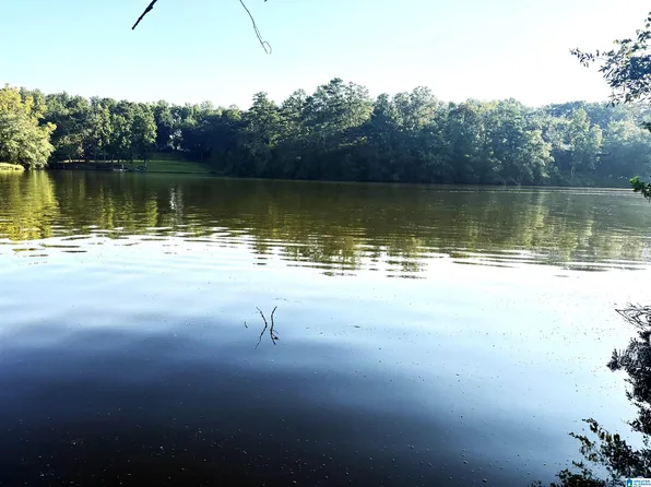 LOT 5 Cams Cov Old Hwy Lot 431-5, Wedowee, AL 36278