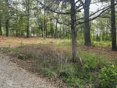 32 Red Oak Rd, Story, AR, 71970