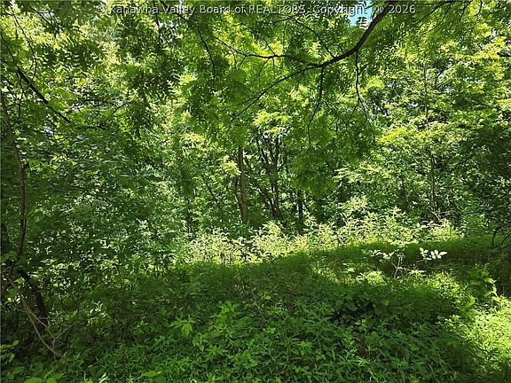 5th image of 0 Peewee Hill Rd