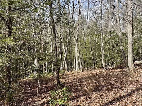 3rd image of 9 Gray Creek Rd Lot 9