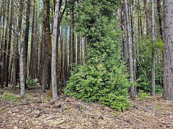 4th image of 0 Fernwood Dr