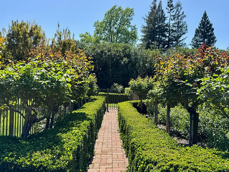 1701 Zinfandel Ln — Photo 33