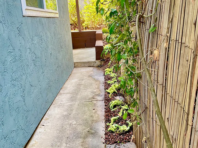 3556 Fir St — Photo 16
