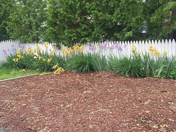 Now a Asphalt driveway