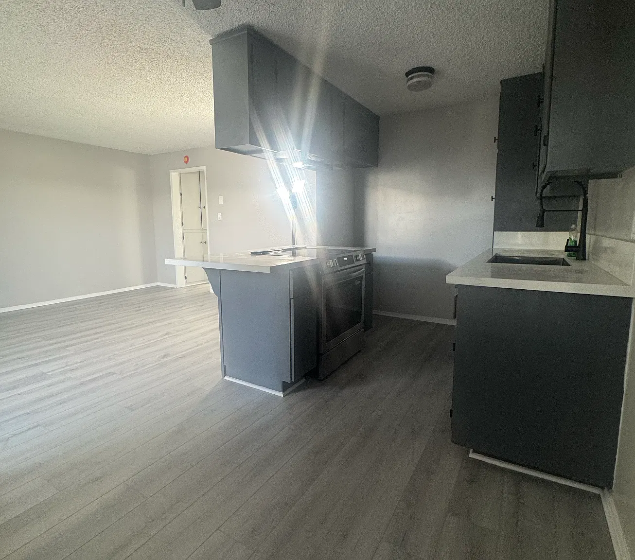 1 bed, 450 sqft, $2,100 — Photo 3