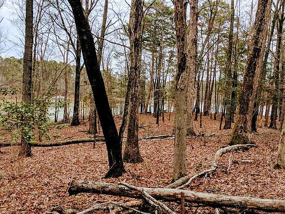 4th image of 157 Meriwether Dr Lot 157