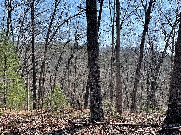 2nd image of 0 Long Hollow Trl