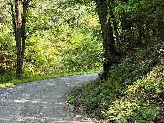 5th image of TBD Grassy Creek Road