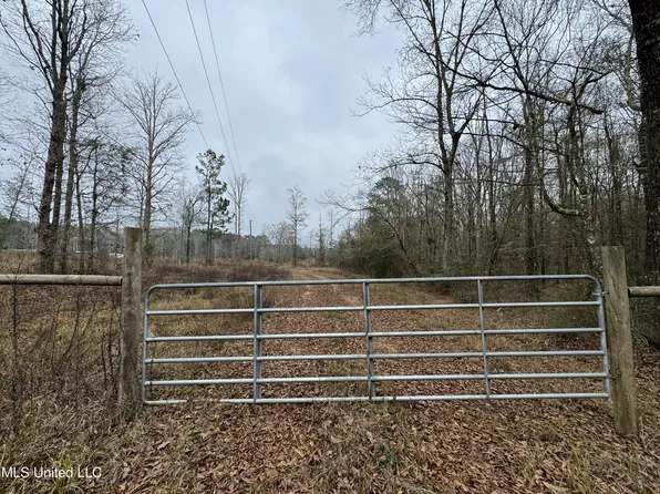 Cold Springs Rd, Collins, MS 39428