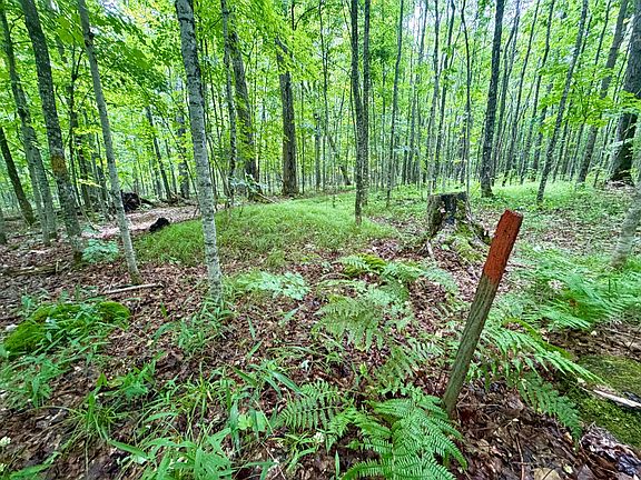 4th image of 2185 Ahola Rd