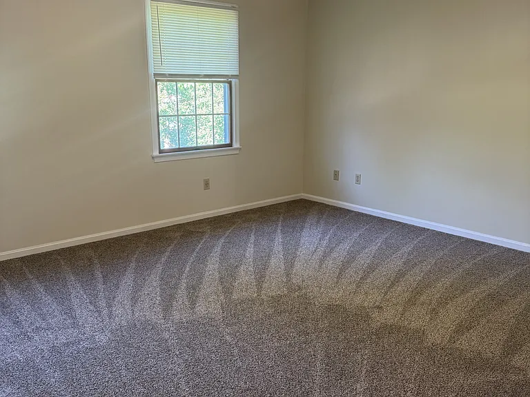 1017 Baccharis Dr — Photo 26
