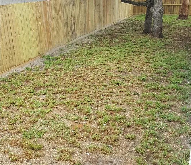 810 McDonald St — Photo 24
