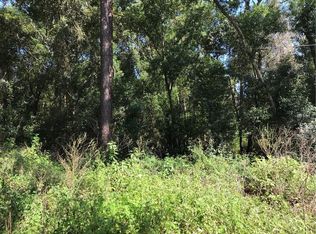 42060 W Lakeview Dr, Altoona, FL 32702