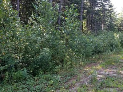 2 Kenny Rd, Malone, NY, 12953