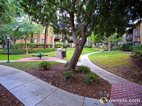 Green tropical landscaping