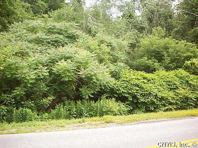 2nd image of 15404 County Route 12