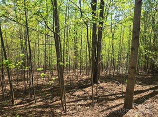 LOT 14 Back Hollow Dr, Lake Lure, NC 28746