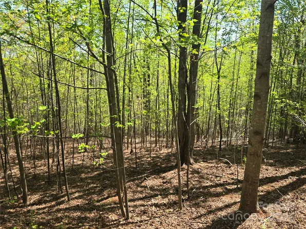 LOT 14 Back Hollow Dr, Lake Lure, NC 28746