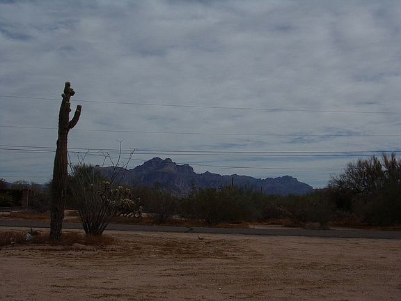 2nd image of 1918 N Saguaro Dr