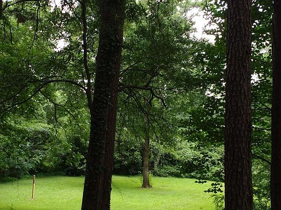 View of back yard. Large back yard leading up to creek)