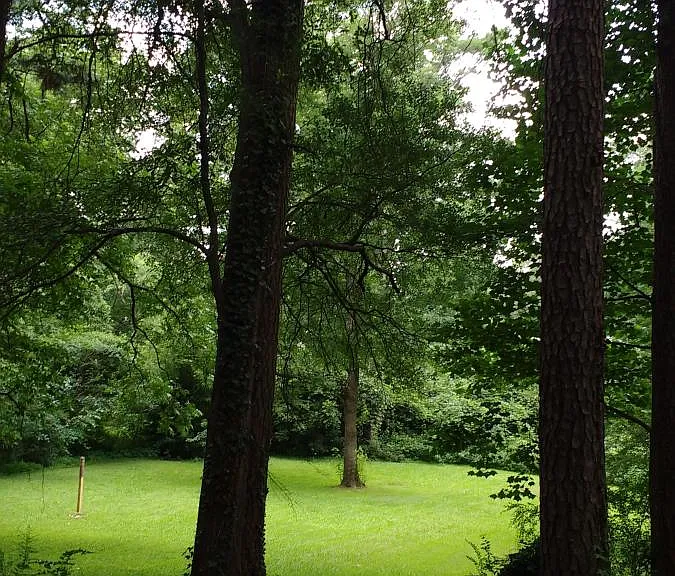 View of back yard. Large back yard leading up to creek)