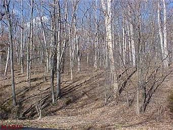 1st image of 124 Mystic Valley Dr