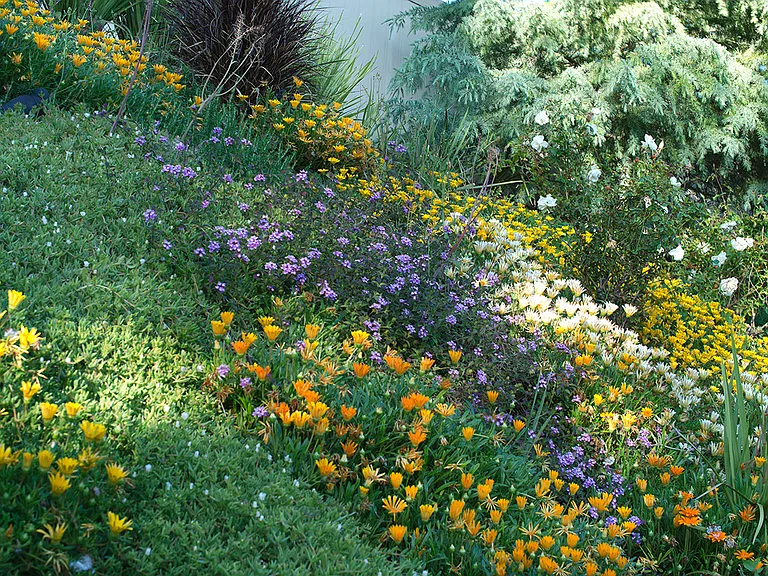 Blooming garden slop.