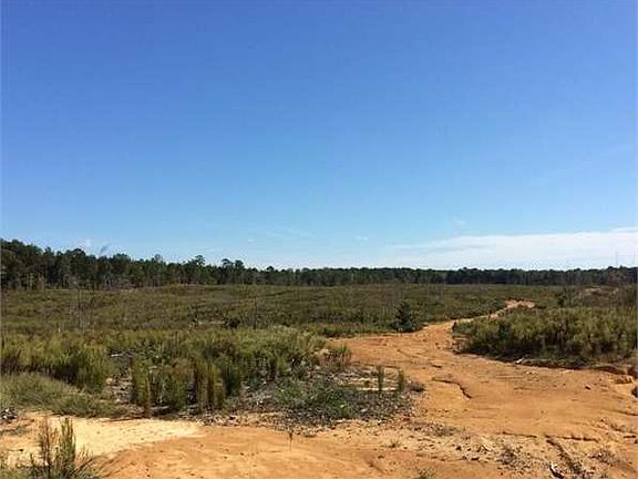 4th image of Fentress Panhandle Rd