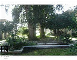 2nd image of 19029 Us Hwy 19 N APT 2-7