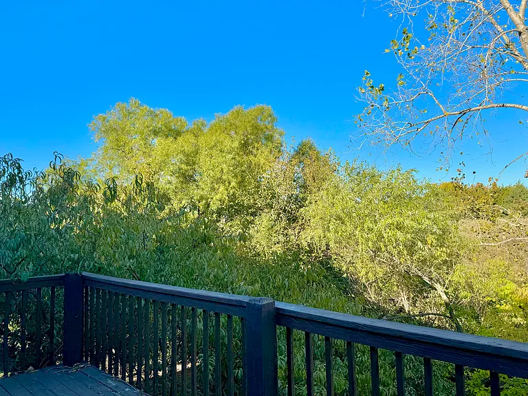 1546 Legend Trail Dr #B — Photo 8