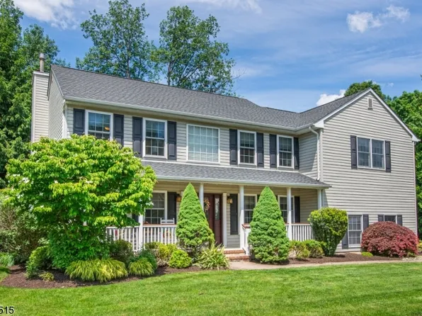 9 Meredith Ct, Roxbury Twp., NJ 07876