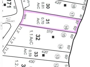 31 E Chocorua River Dr, Tamworth, NH 03886
