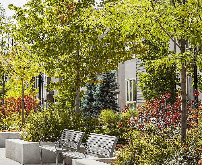 The Aster Conservatory Green — Photo 3