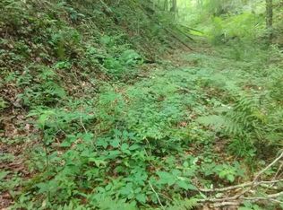 Murphy Hollow Rd, Saint Charles, VA 24282