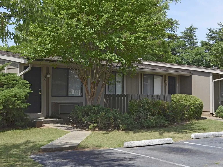 Pine Hill — Photo 6