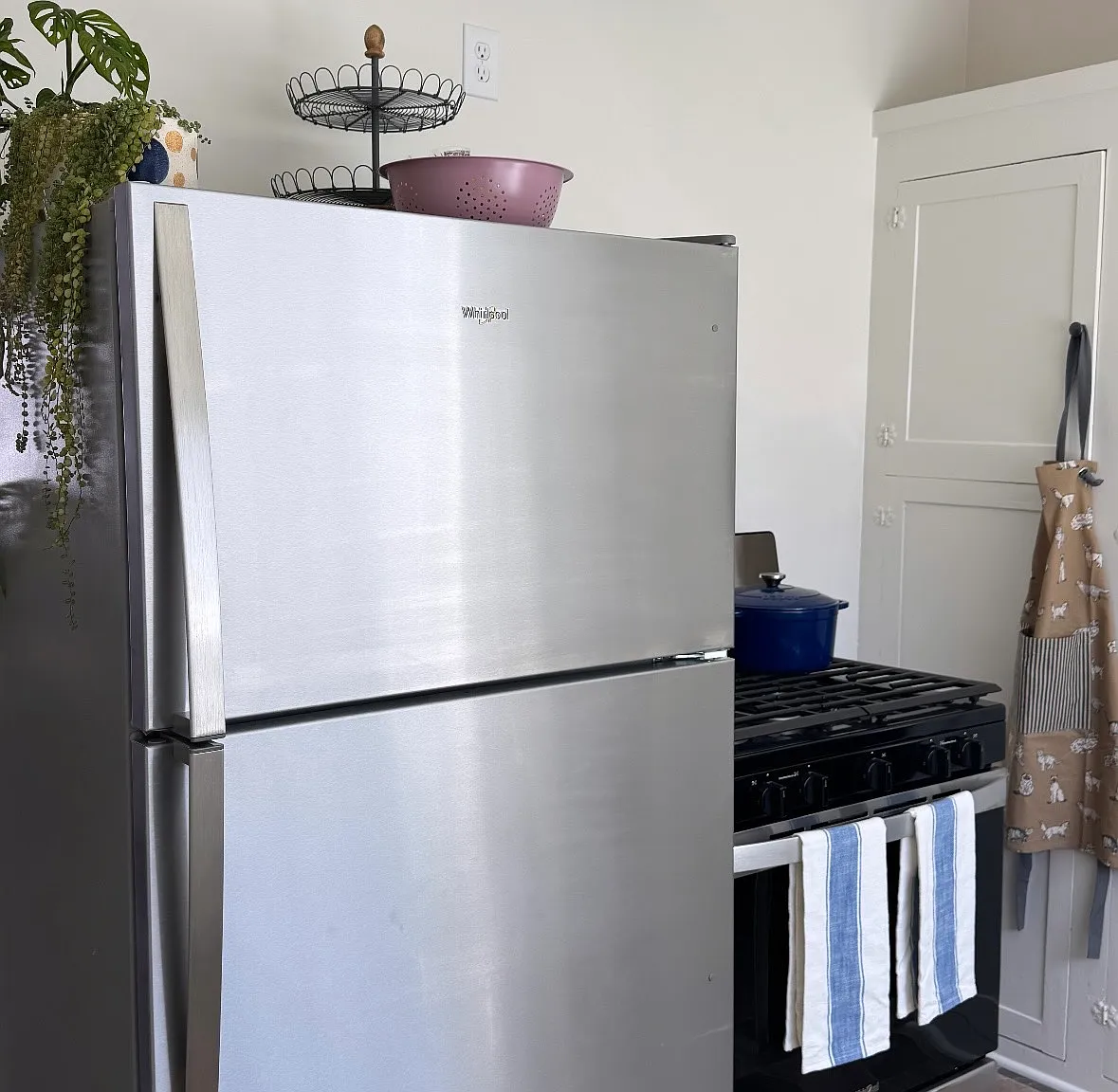 5 bed, 2500 sqft, $5,050 — Photo 2