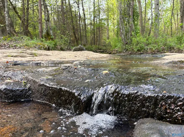 County Road 361, Pisgah, AL 35765