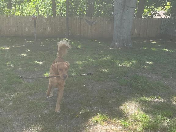 Plenty of room to run