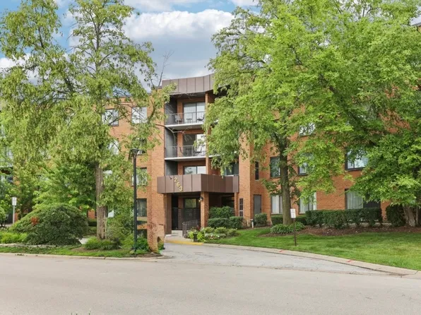 263 S Clubhouse Dr Unit 117, Palatine, IL 60074
