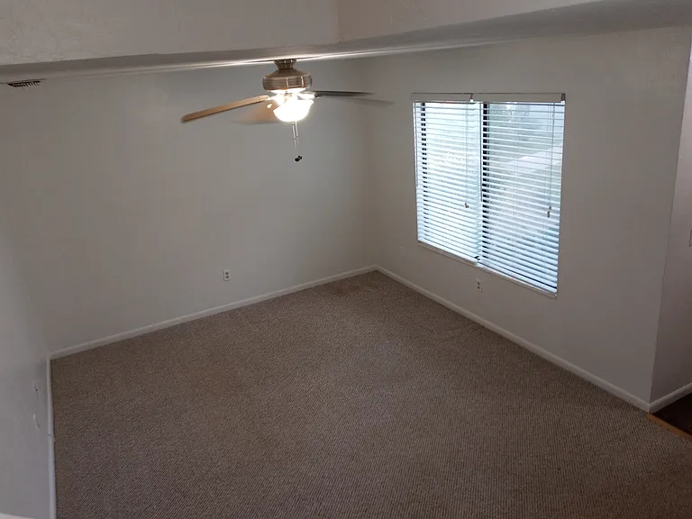 4410 Black Forest Way — Photo 10